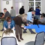 Servidores municipais participam de ginástica laboral